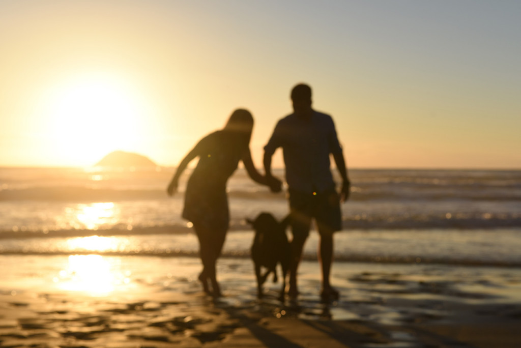 couple and their dog's silhouette behind the sun and sea on the sunset in Muruwai beach in West Auckland