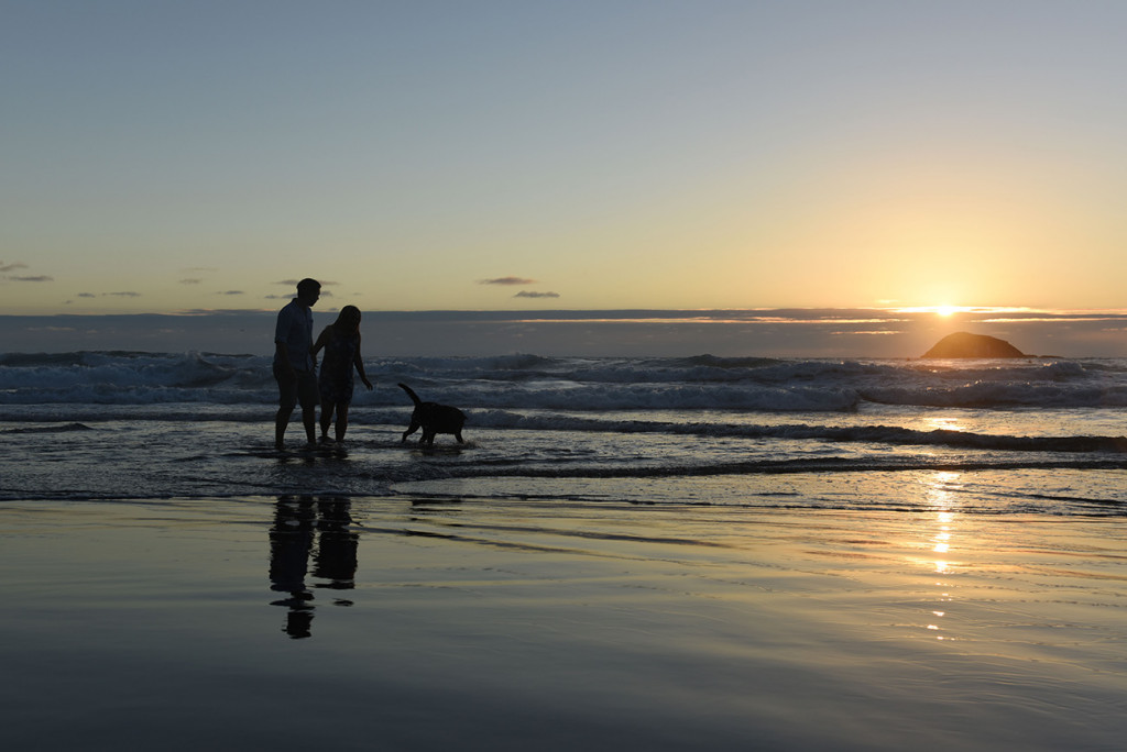couple with their dog and their reflection on the wet black sand beach