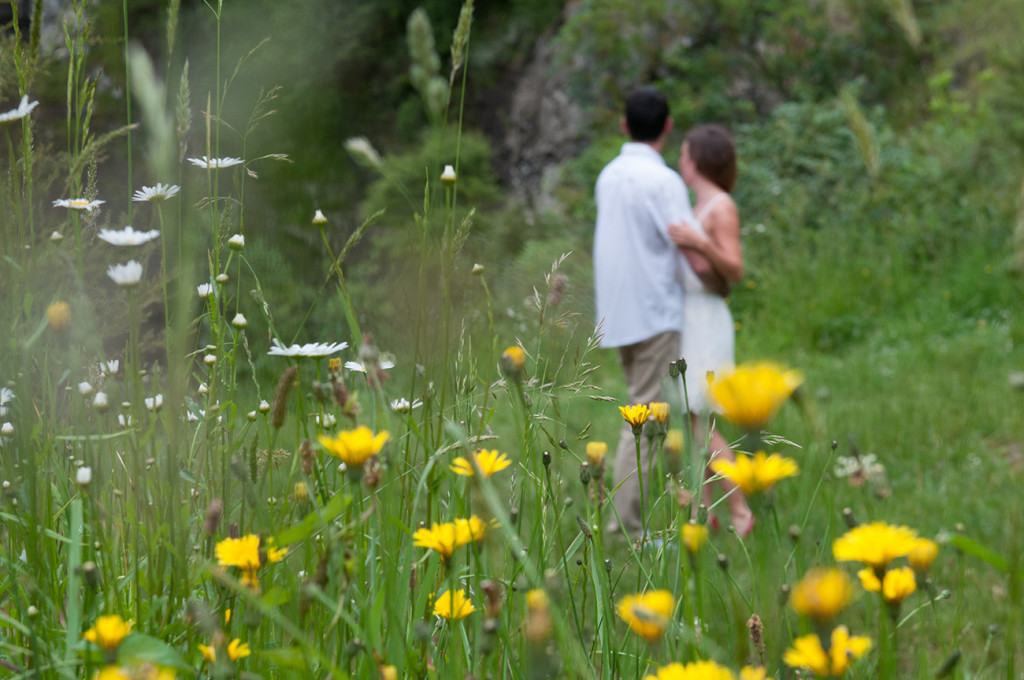 The lovers blurred holding each other arm in arm in the field of dandelion