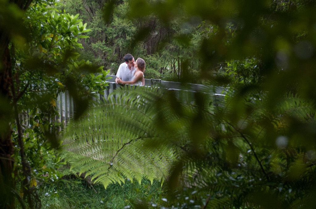 The couple kissing on the bridge in the bush between the new Zealand ferns