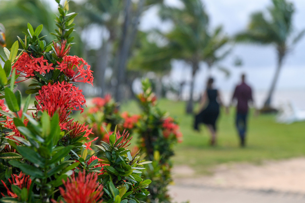 Greens and red flowers with couple walking holding hands at the Sheraton Resort by the sea in Denerau Island in Fiji