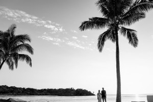Black and white picture of Eloped couple by palm trees on Coral Coast Fiji