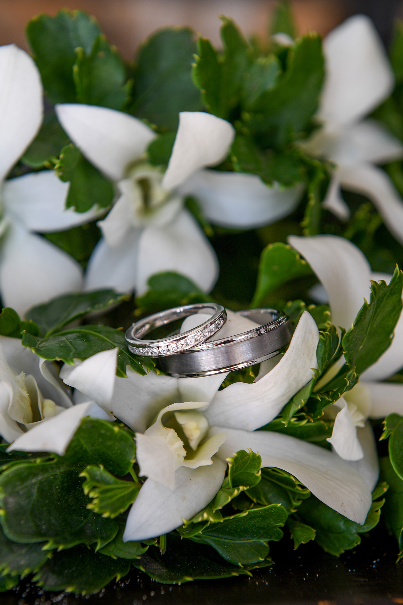 Silver wedding bands on tropical white Fiji flowers
