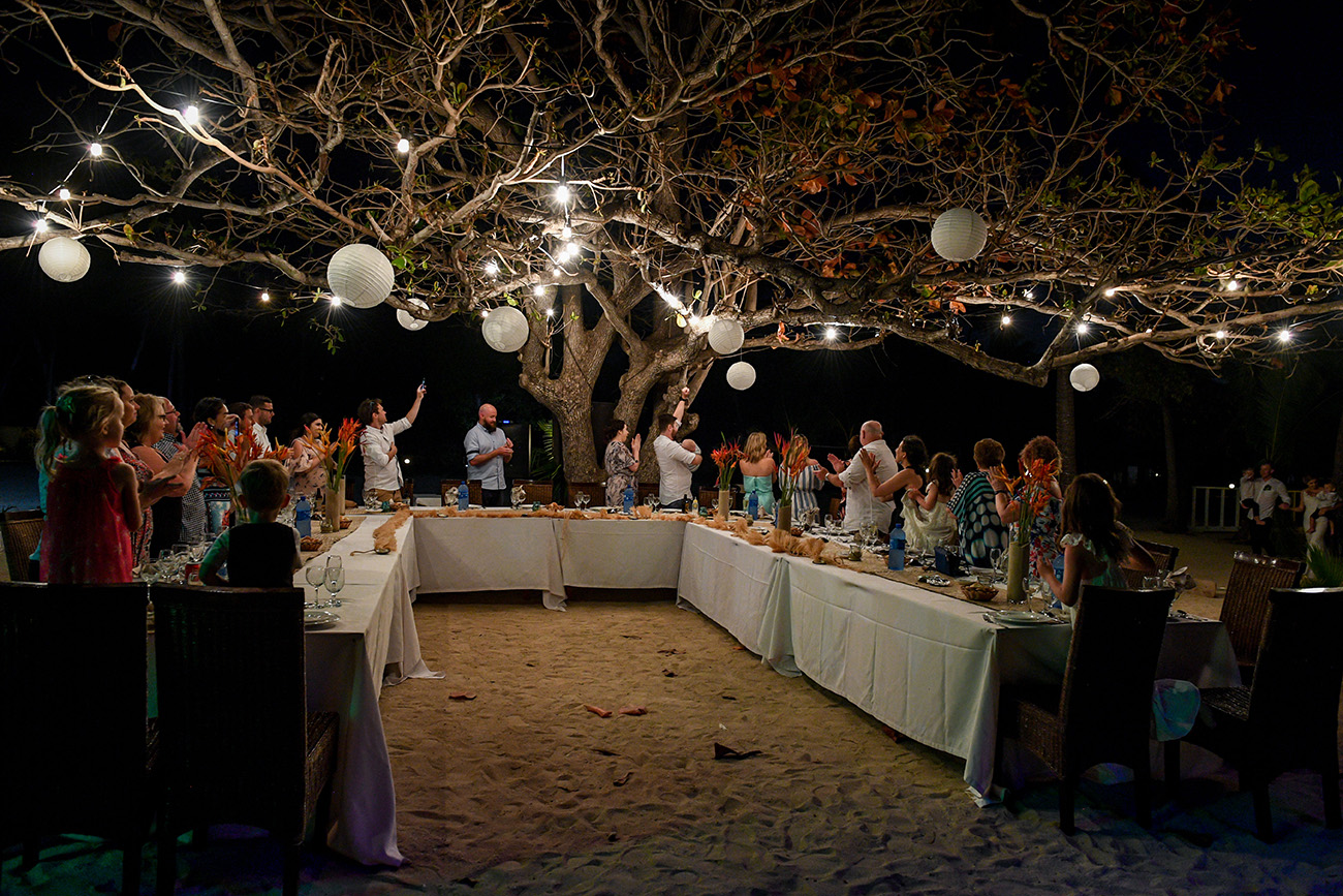 Guests give a toast at the outdoor wedding reception