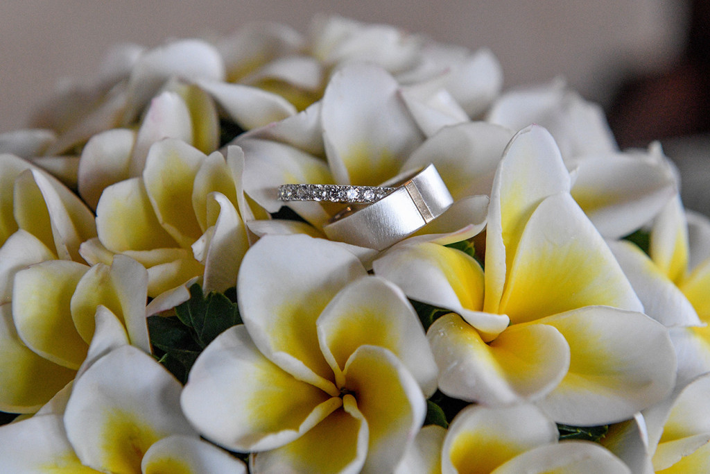 Diamond and silver rings by etsy in a bed of Frangipani Fiji flowers