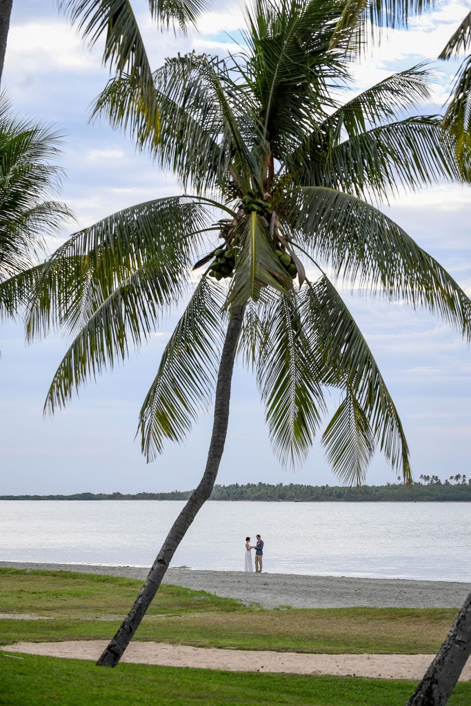 The newly married couple stand underneath a gigantic palm tree
