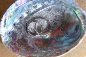 The rings kept in a colourful paua shell
