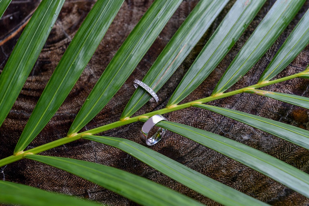 Schalin rings are draped on green Fiji palm fronds