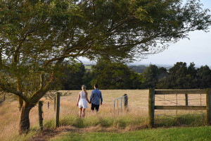 Engaged couple strolling through the browning fields in Summer Engagement photoshoot Pukekokhe Auckland Photographer Anais Chaine