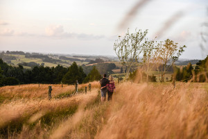 The engaged couple strolling in the fields Summer Country Engagement photo shoot Pukekokhe Auckland Photographer Anais Chaine