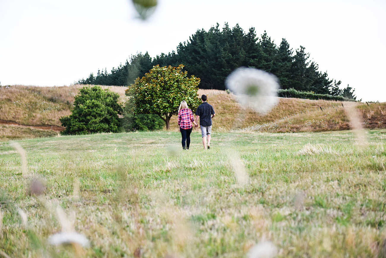 A wide shot of the couple walking in the fields Summer Country Engagement photo shoot Pukekokhe Auckland Photographer Anais Chaine