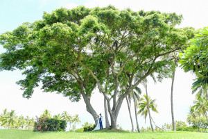 The bride and groom are standing by a giant tree at the golf course in Denerau, Nadi Fiji.