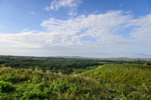 Landscape of Fiji
