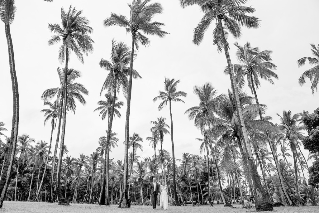 Black and white Stunning palm trees in Vomo Island Resort Fiji captured by fiji photographer Anais Chaine