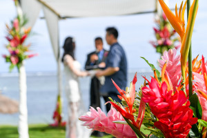 Blurred photo of married couple under gazebo in Warwick Fiji wedding