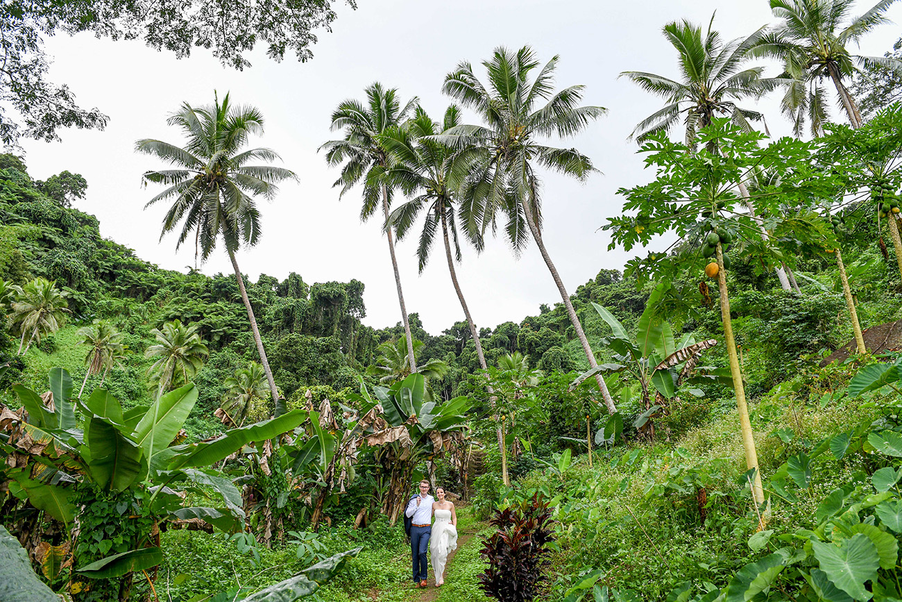 Bride and groom walk on green path against enormous palm trees in Fiji Island