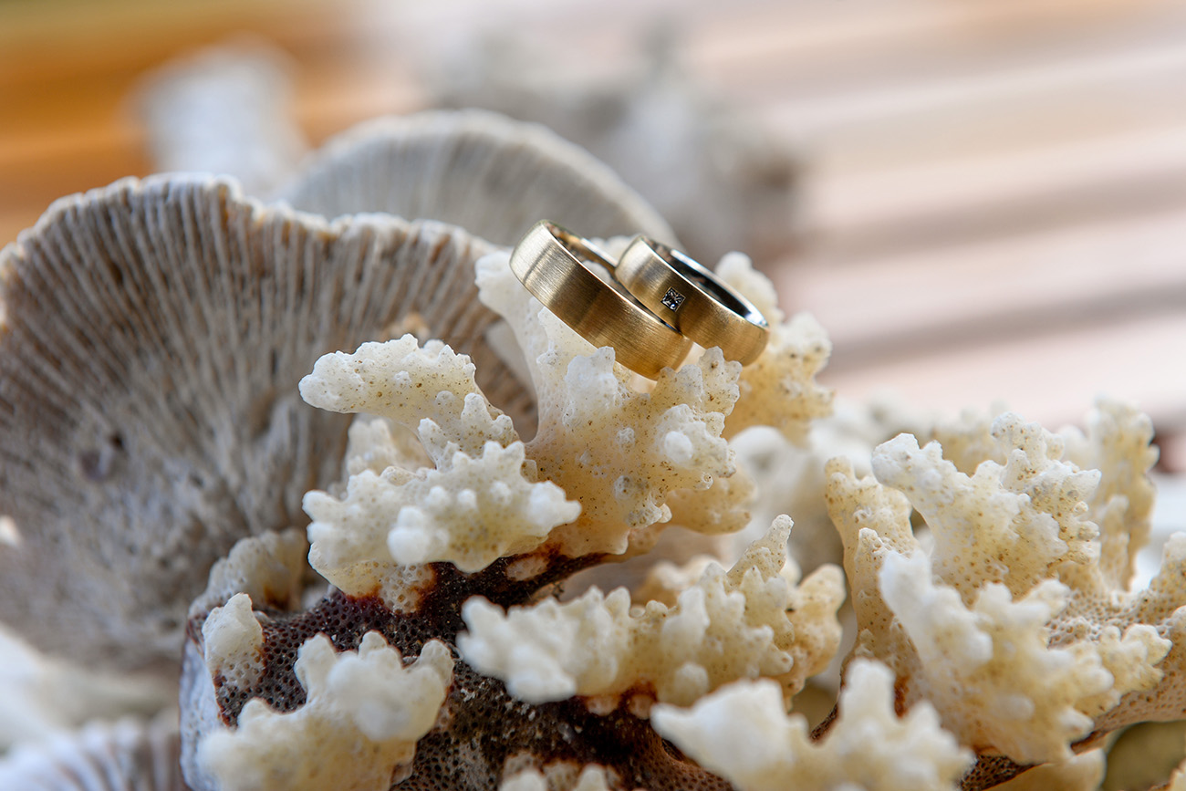 Couple's rings draped on coral shells