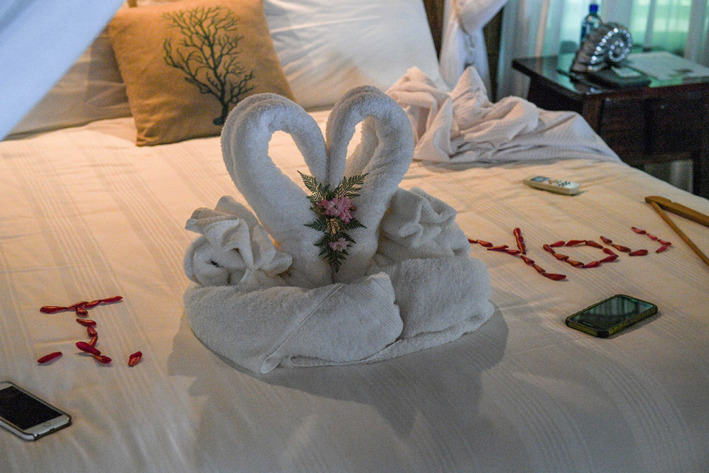 Swan on the bed, at Matangi island resort Fiji