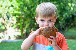 Cute baby boy eating from coconut shell