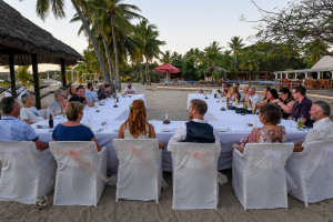 Wedding guests seated under palm trees for open air wedding reception