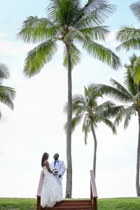 The newly married couple pose under a gigantic palm tree at the beach