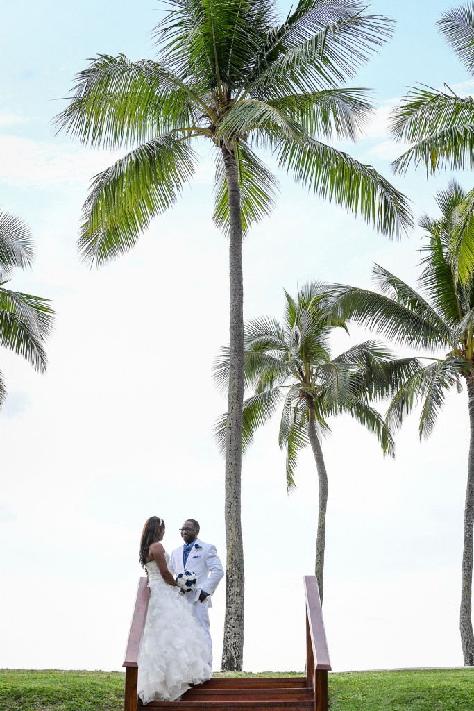 The newly married couple pose under a gigantic palm tree at the beach