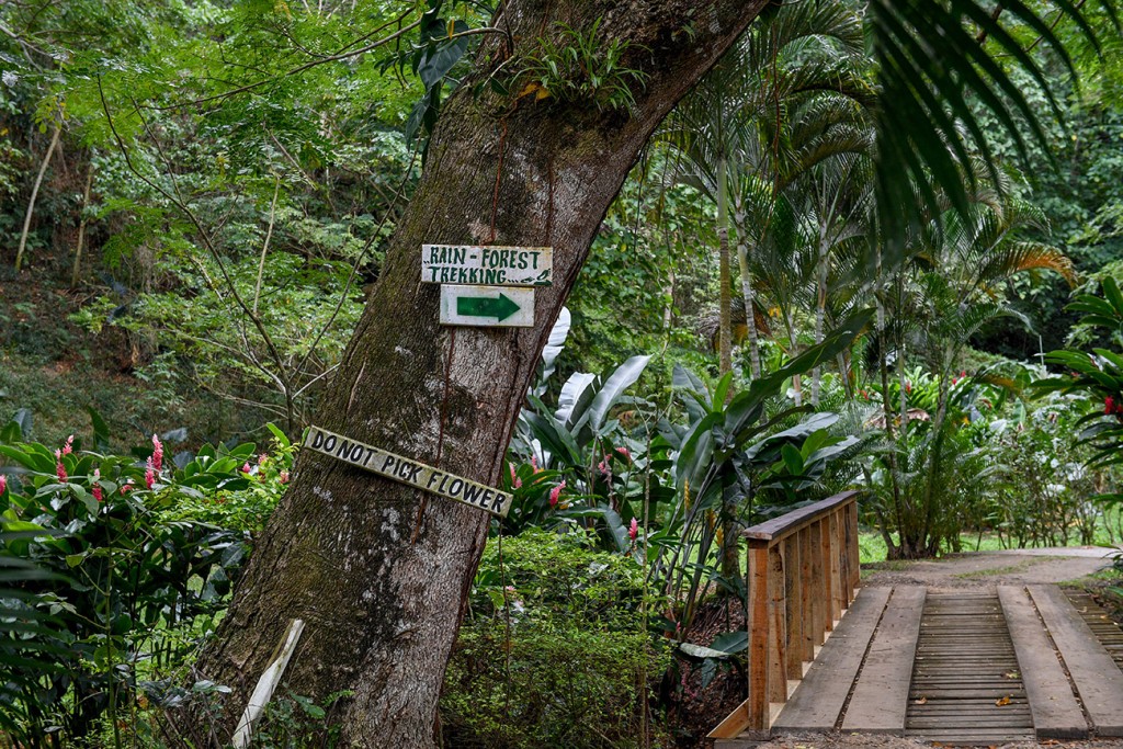 The signage leading to the tropical rain forest