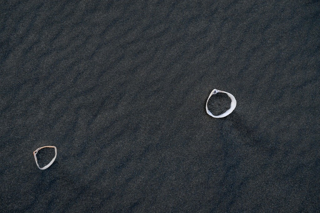 The simple rings rest on Karekare beach black sands