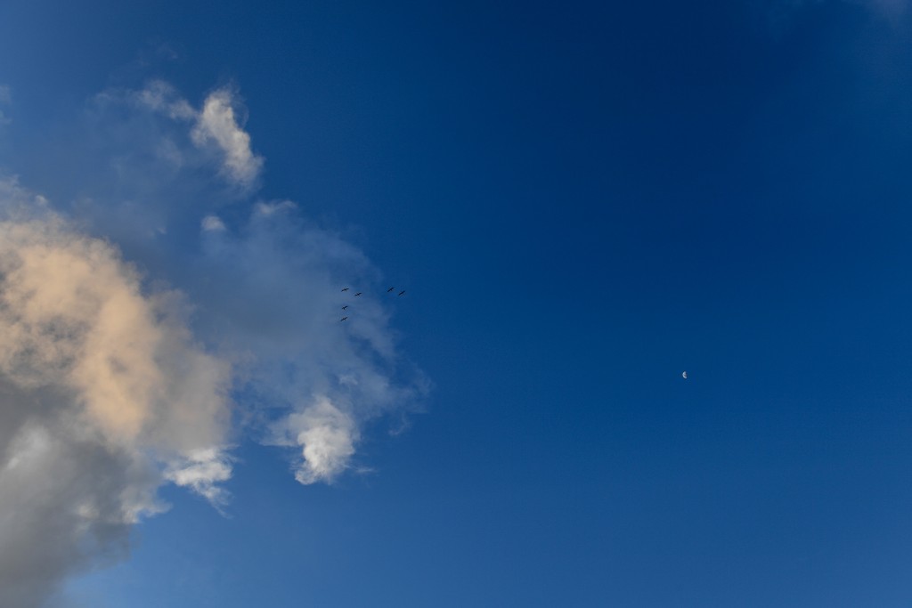 A crescent moon shows on a deep blue sky