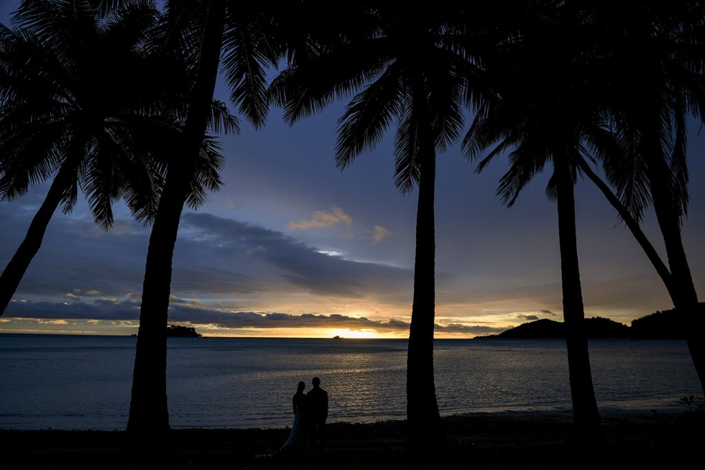 A silhouette of the newlyweds under towering palm trees at sunset