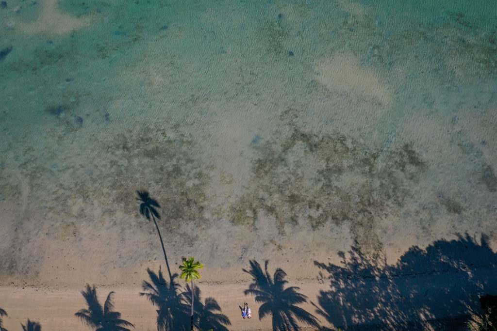 A drone shot of the loving couple under towering Fiji palms