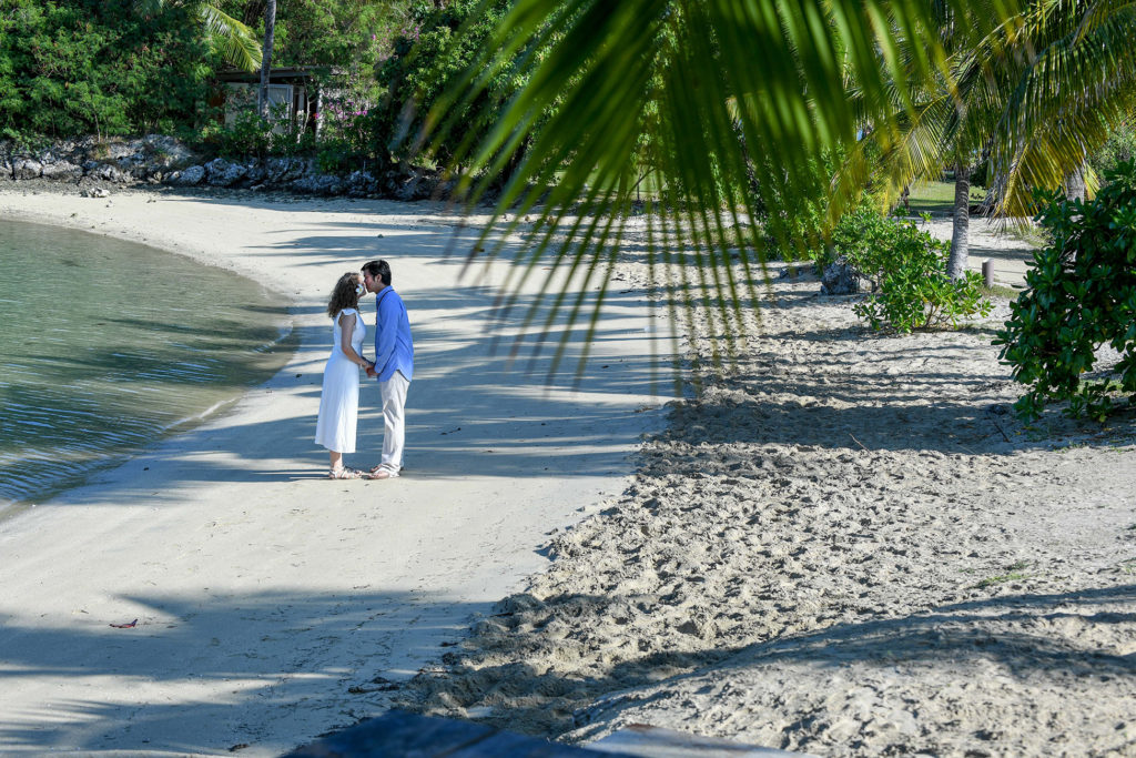 A shot through palm fronds of the groom kissing his bride on the forehead